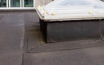 disadvantages of Annaclone flat roofs