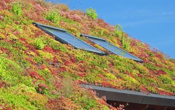 Annaclone living roof systems