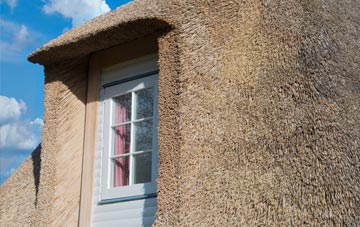 Annaclone thatch roof disadvantages