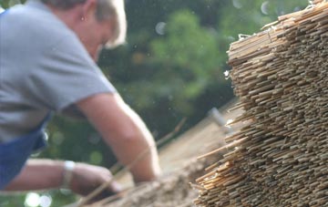 professional Annaclone thatchers