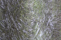 Annaclone fibreglass roof work